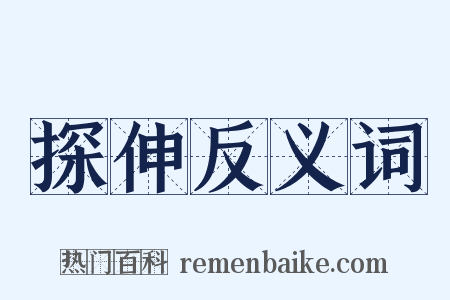 探伸反义词是什么意思的图片